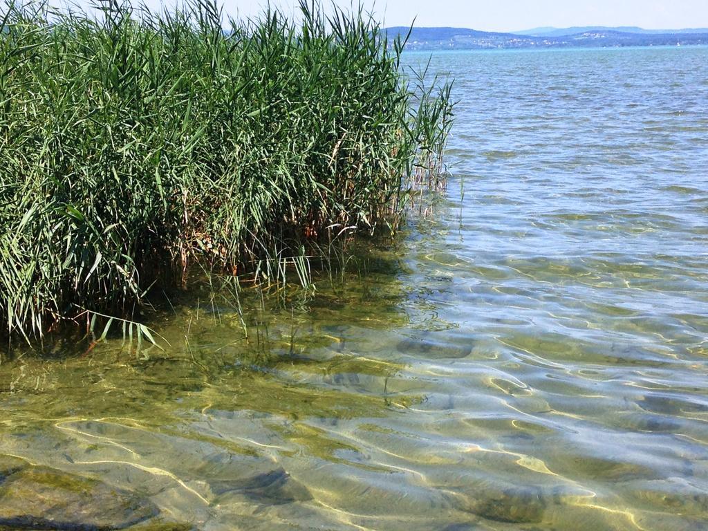 Boglari Villa Balatonlelle Rom bilde